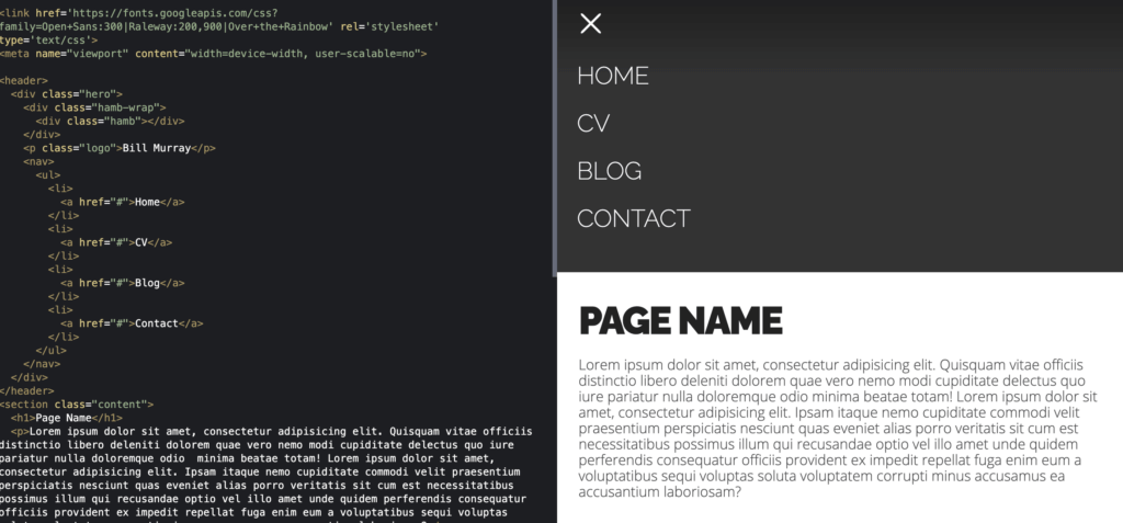 Split Screen Web Design 9
