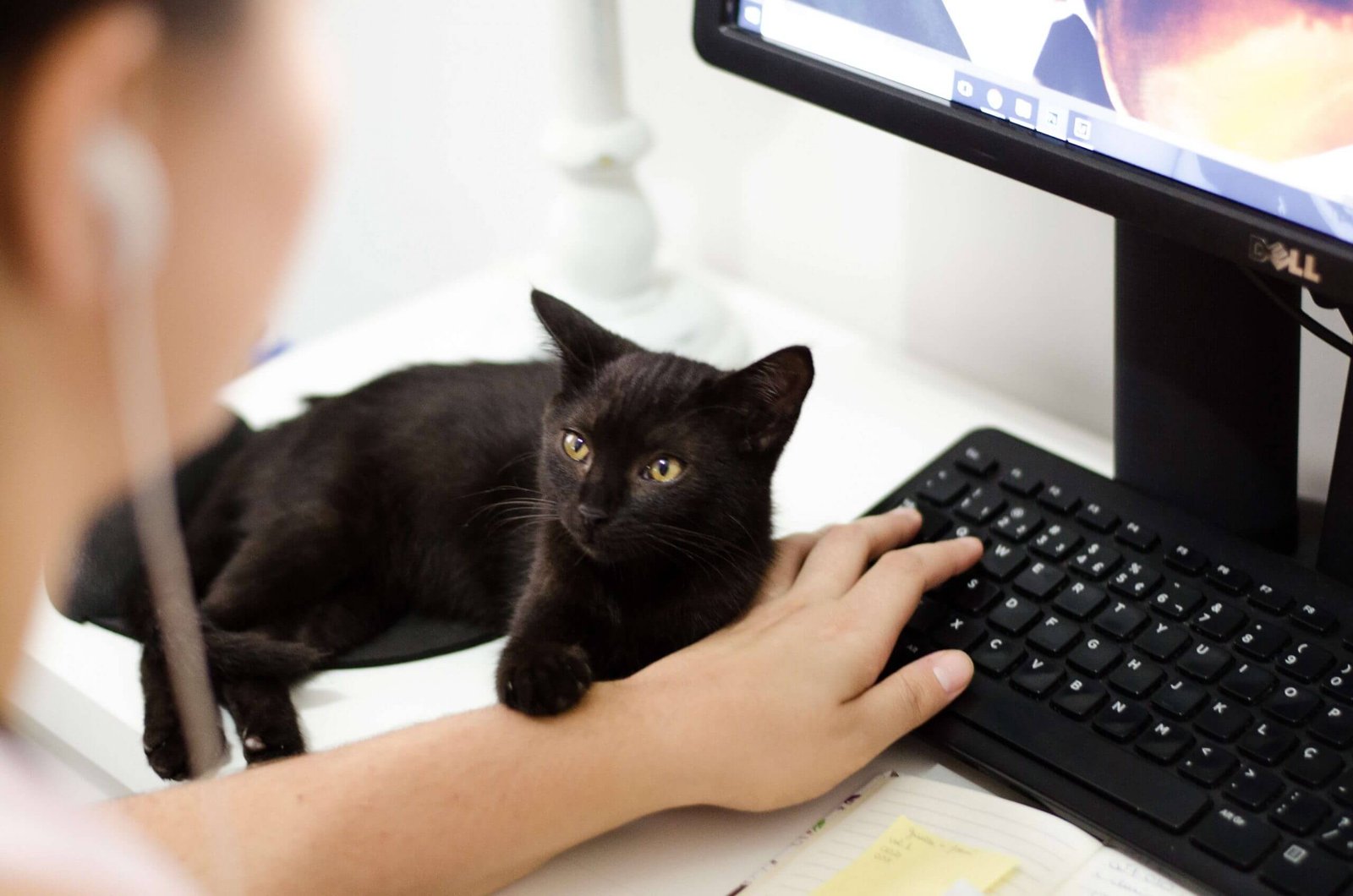 5 Tips To Choose The Best Images For Your Website