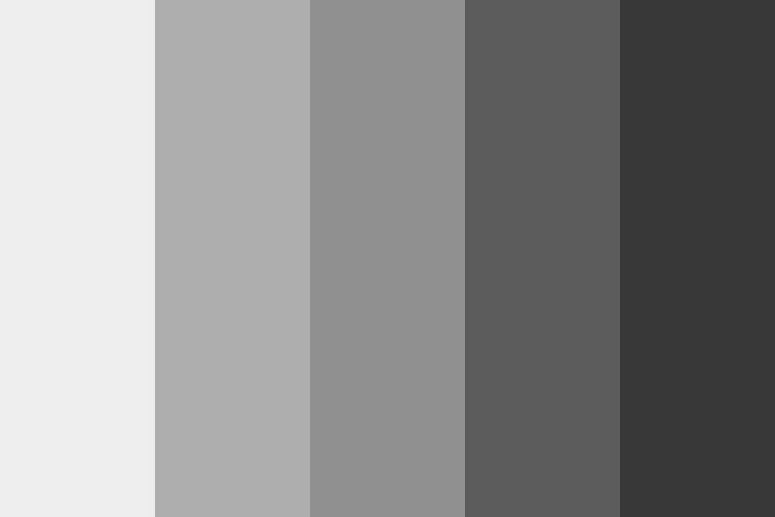 Grey Website Design Inspirations