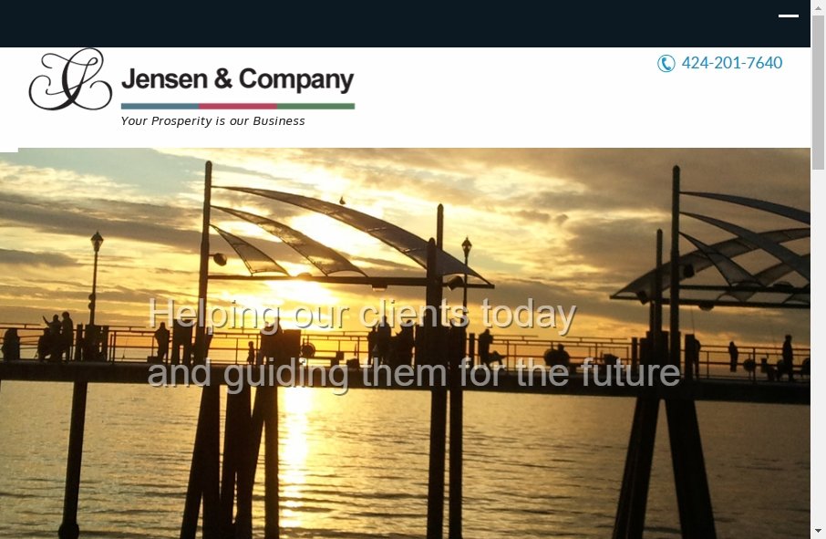 Accountants Websites Examples 2
