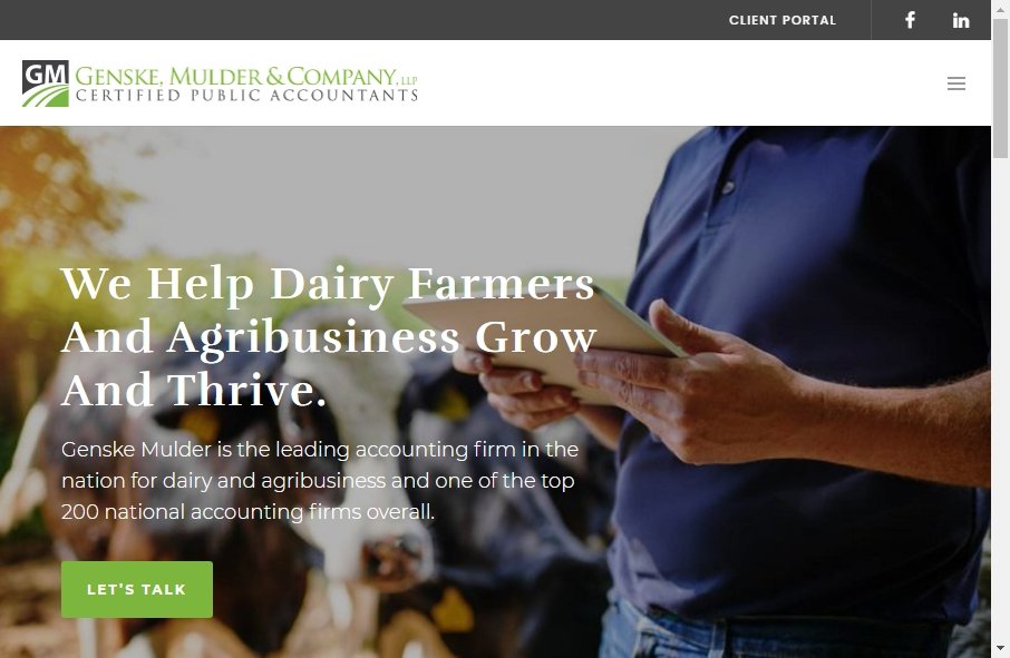 Accountants Websites Examples 3