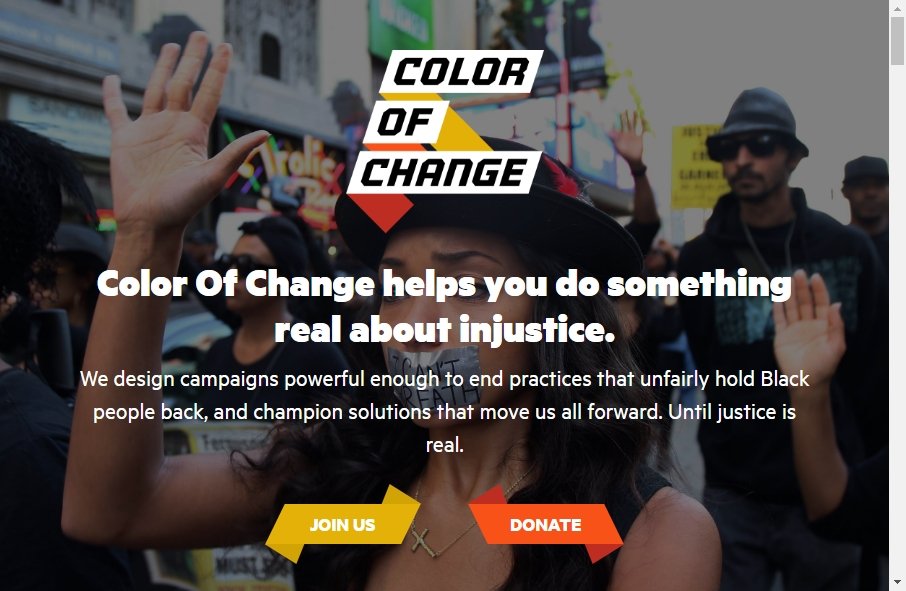 9 Examples of Non Profit Websites With Fantastic Designs 3