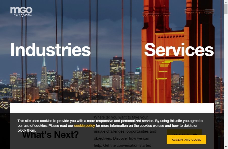Accountants Websites Examples 13