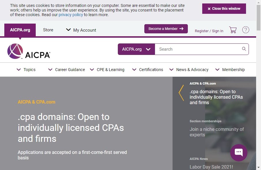 Accountants Websites Examples 14