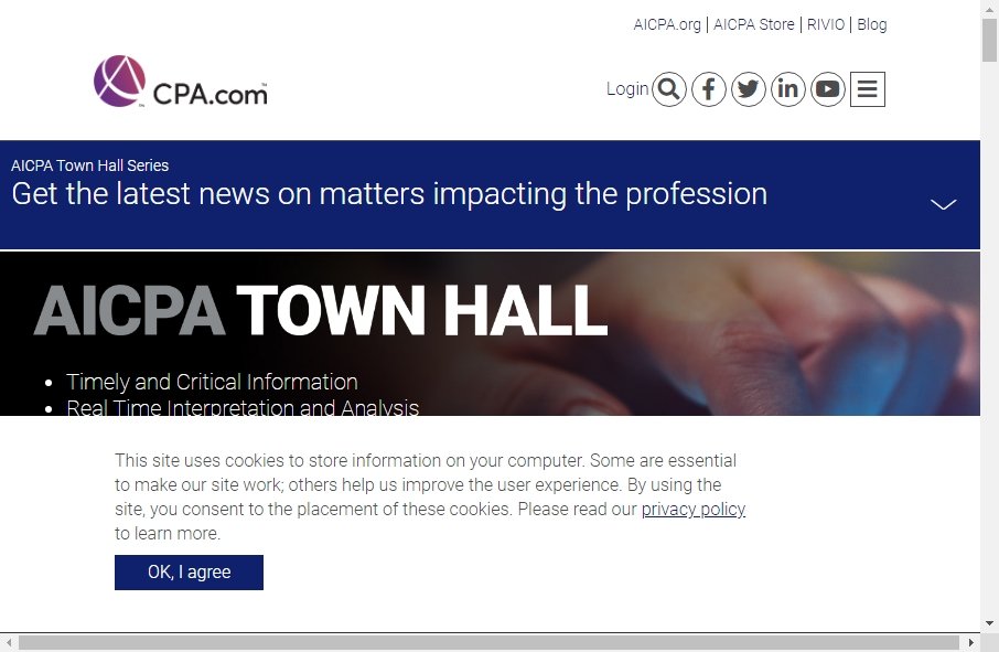 Accountants Websites Examples 18