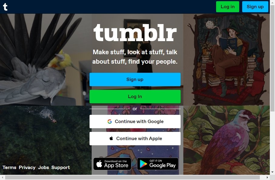 Microblog Websites Examples 3