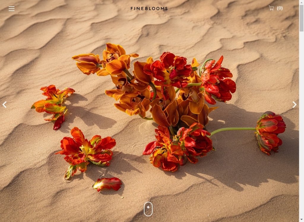 Best Minimalist Websites Design Ideas – Web Design Inspirations 7