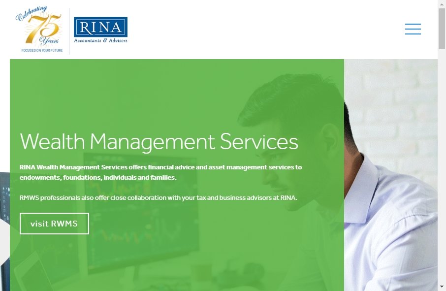 Accountants Websites Examples 9