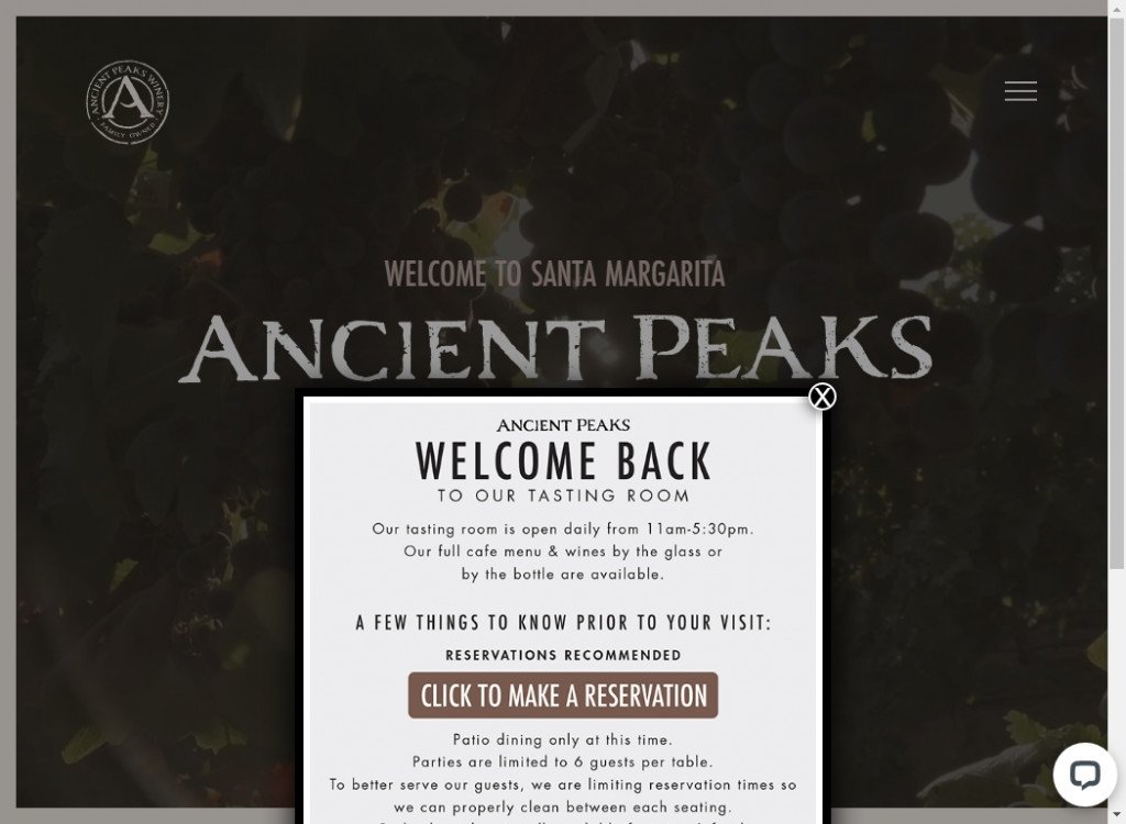 Best Retro Websites Design Ideas – Web Design Inspirations 9