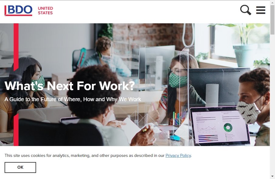 Accountants Websites Examples 11