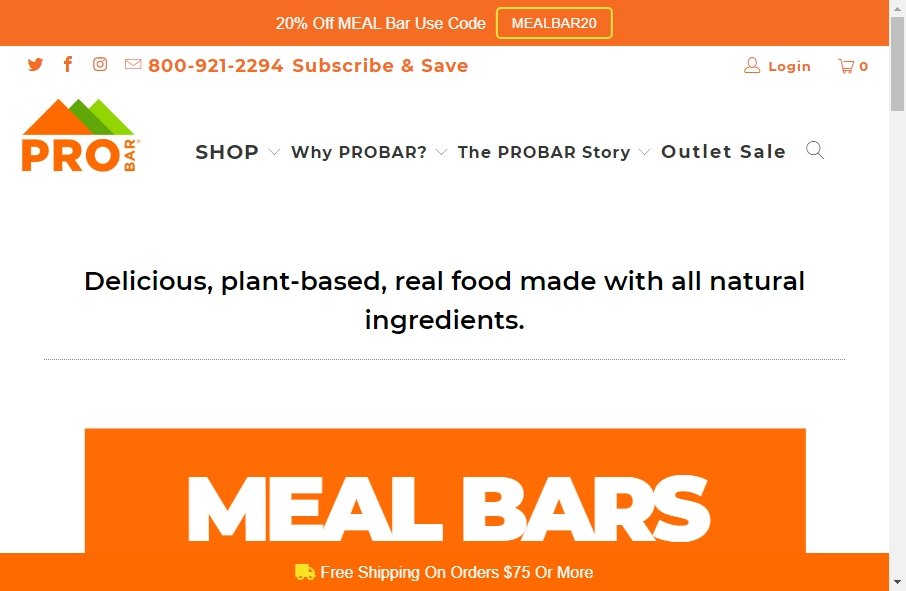 Bars Website Design 11