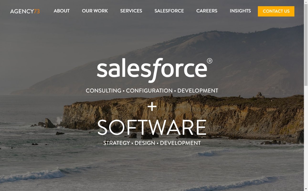 Top 25 Website Development Firms in San Diego 18