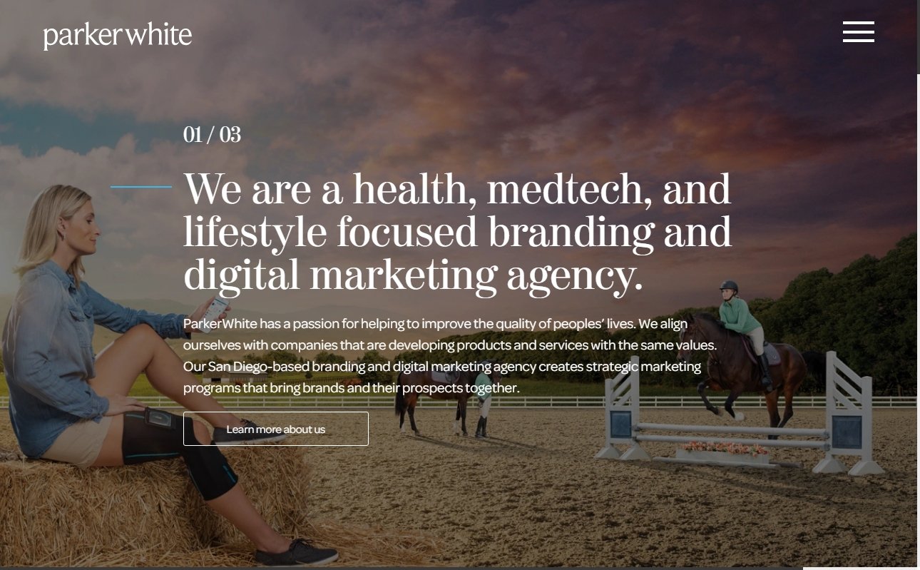 Top 25 Website Development Firms in San Diego 23