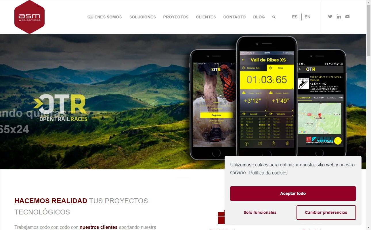 web development companies in Spain - ASM