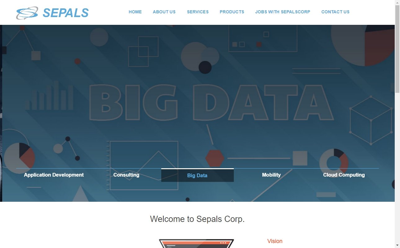 8 Best Website Development Firms in Connecticut 8