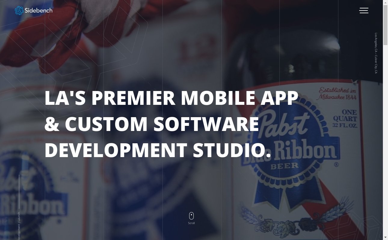 The Best Web Development Providers in Michigan 11