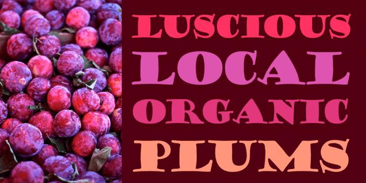 25 Best Serif Fonts For Websites: A Complete Guide 12