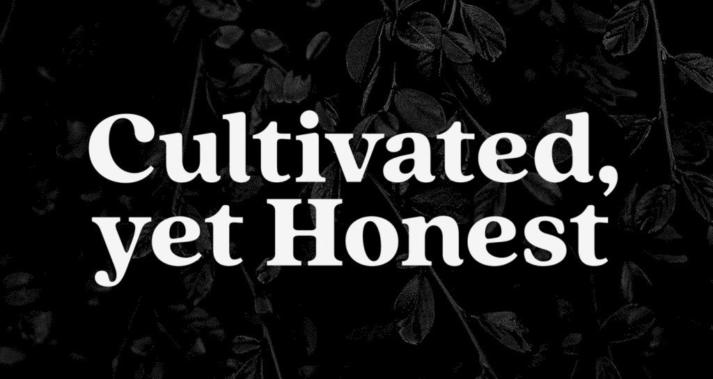 25 Best Serif Fonts For Websites: A Complete Guide 21