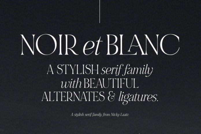 25 Best Serif Fonts For Websites: A Complete Guide 24